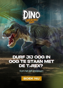 Dino Experience Park