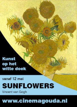 Cinema Gouda Sunflowers 