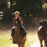 Out stealing horses