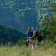Antoinette dans les Cévennes
