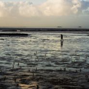 IDFA: Silence of the tides
