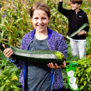 Onder het maaiveld Junior