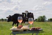 Bourgondisch genieten  in het weiland !