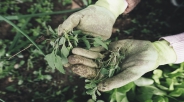 Wil jij je 'groene vingers' verder ontwikkelen?