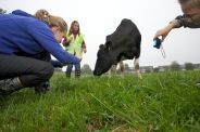Proef de Polder / Say Cheese!