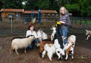 Kinderboerderij Bospark
