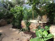 De Pantanal in vogelpark Avifauna
