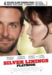 Silver Linings Playbook (komedie) 
